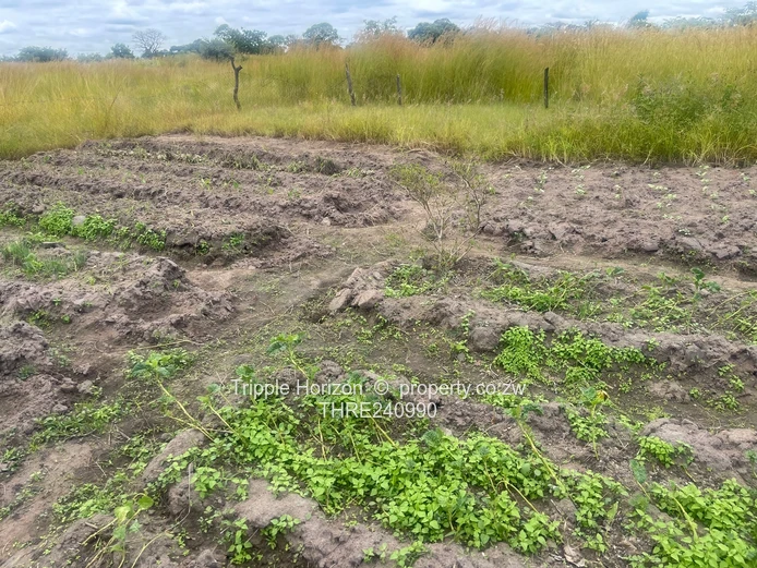 18,000m² Norton Farm — Orchard, Grazing & Main Access