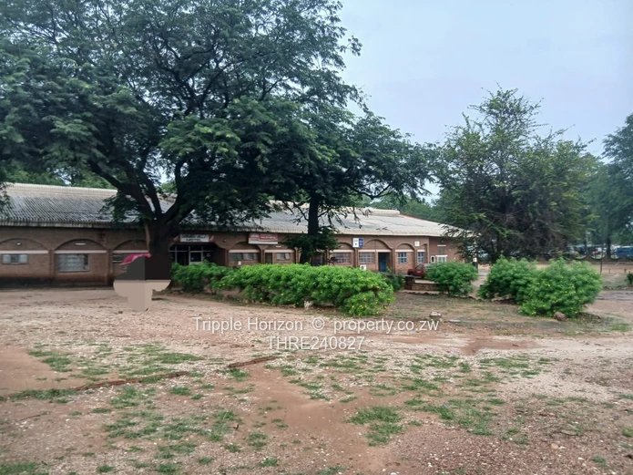 Chirundu hotel for sale 