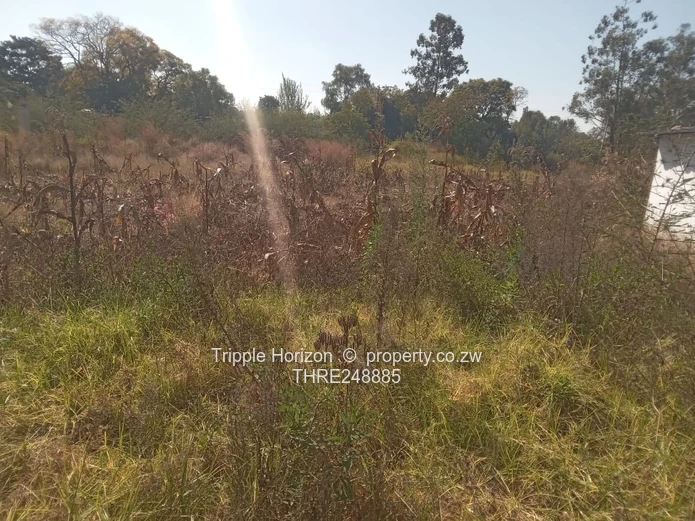 9,200m² Hatfield Land — Subdividable, Wall & Water