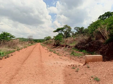 Farm & Agricultural Land