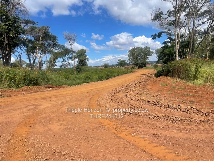 Stands with payment terms, servicing in progress!!