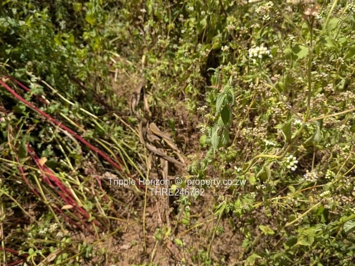 Industrial land for sale in chinhoyi along chengutu route 