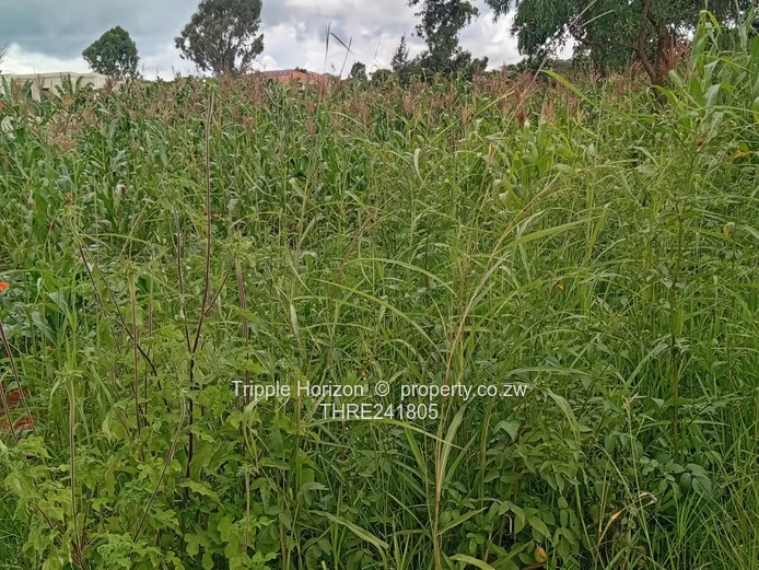 2300 m² Hogerty Hill: Ready Residential Land