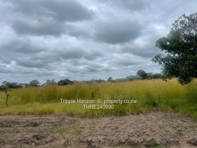 18,000m² Norton Farm — Orchard, Grazing & Main Access