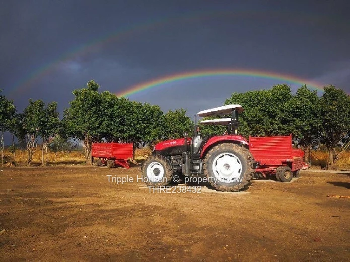 350ha Marondera Farm - Machinery, Orchard & Reservoir