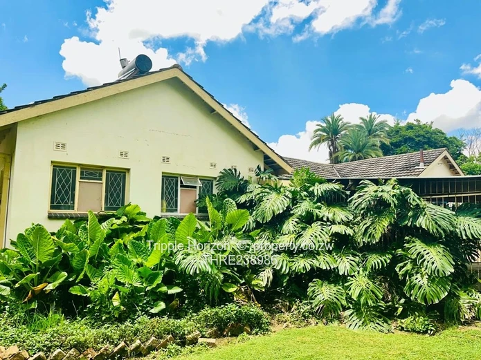 Spacious 4-Bed Home on 2200m² with Borehole – Mandara